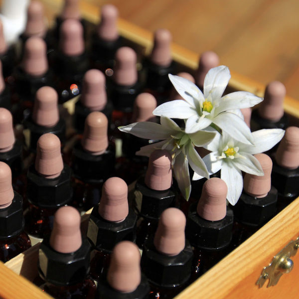 Flower essences
